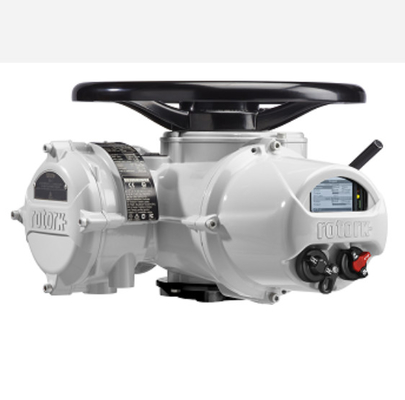 Q.I. elétrico do atuador de ROTORK com a válvula de Wuzhong do chinês e as válvulas de bola de Flowserve