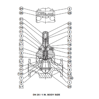 Patim chinês montado com a válvula de controle de regulamento LR125 FISHER Pressure Regulators For Gas