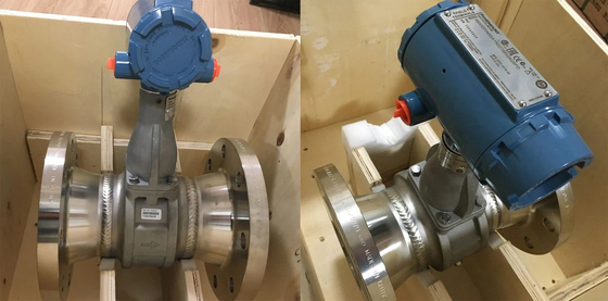 Medidor de fluxo da série 8800/8750w da Emerson Rosement