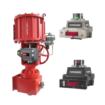 TopWorx TXP-M2CGNPM NAMUR Valve Limit Switch À prova de chama