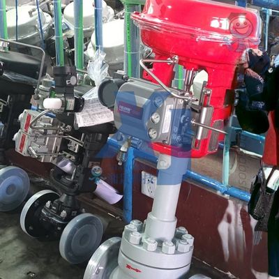 Válvulas de controle de fluxo pneumáticas com certificação EAC e Posicionadores de Controlador de Válvula Digital Emerson Fisher DVC6200