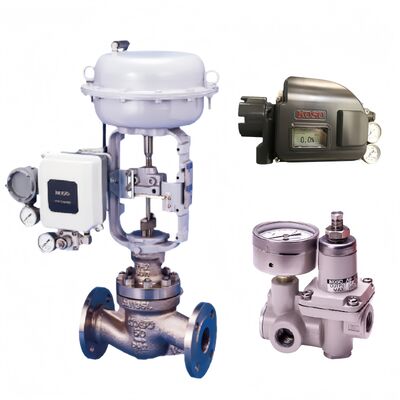 KOSO 501G 550G Cage Guided Control Valves Globe Valve for Power Plant Petrochemical Refinery