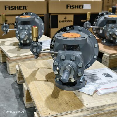 Fisher Regulator 1190 Válvula de proteção de gás de baixa pressão Válvula redutora de pressão operada por piloto para montagem em skid