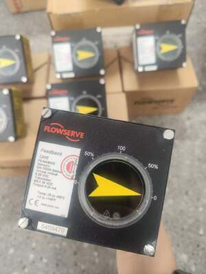 Chinese Valve Flowserve PMV P5 EP5 Valve Positioner F5 Switch Box and Neles B1 Pneumatic Cylinder Actuator Stock Supplier