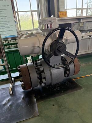 Electric Control Butterfly Ball Globe Valve Manufacturer With AUMA SA SAR SQ SQR Series Electric Actuator