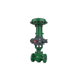 Fisher E de controle pneumático de EZ EWT válvula com o controlador de válvula de DVC6200 DVC2000 Digitas e o 67CFR 67DFR filtram o regulador