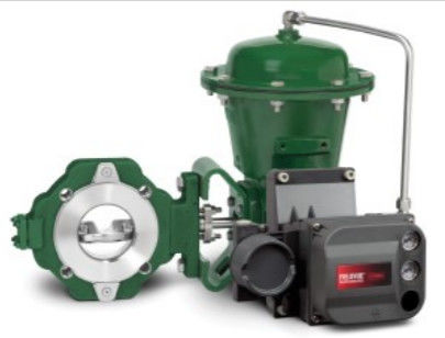 Válvula de controle fácil de Fisher e EZ no produto químico ou no hidrocarboneto que processam aplicações e material no aço carbono, Stainles