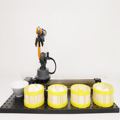 Inteligência artificial de robô industrial da linha central de WLkata 6 mini para a educação