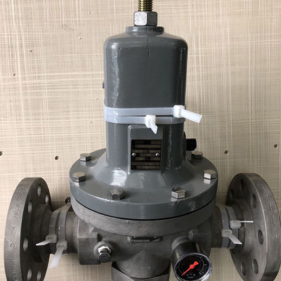 Reguladores de pressão operados diretos de Fisher MR95H para o vapor e a água