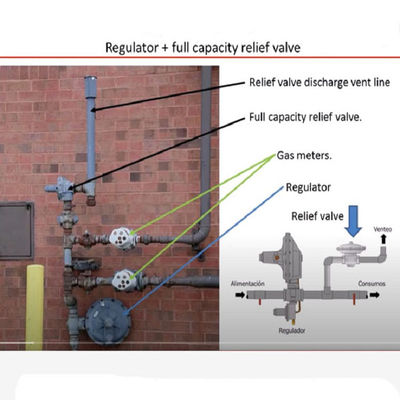 Grupo de ferramenta elétrica montado da solução do dispositivo do gás de GNL de Fisher do patim do gás da válvula de escape de EZR ou do regulador de pressão traseira patim modular