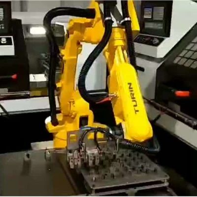 Da linha central robótico programável do braço 6 do robô ATOM-10KG-1378mm de China robô Palletizing