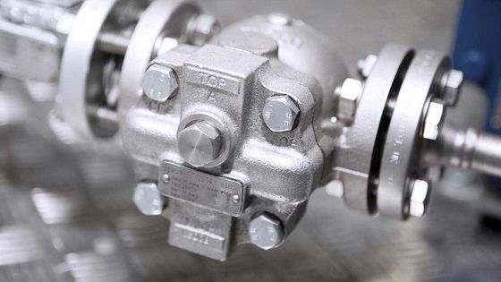 Armadilha de vapor parafusada FTGS14 do flutuador de bola Spirax Sarco