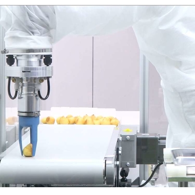 Pequeno braço robótico industrial de 6 eixos VS-050/060 com agarrador robótico CNGBS como robô universal