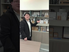 Positioner esperto pneumático da válvula de controle