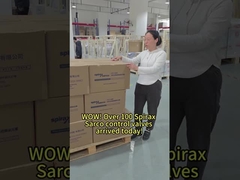 O que acha do Spirax Sarco entre as marcas de válvulas?